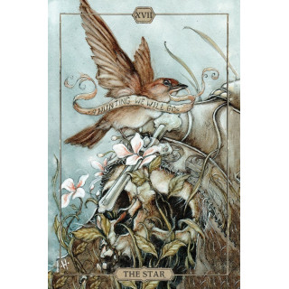 Hush Tarot