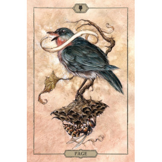 Hush Tarot
