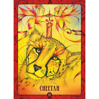 Ancient Animal Wisdom Oracle