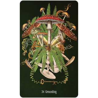 Unlocking the Secret Garden Oracle