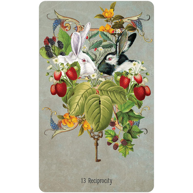 Unlocking the Secret Garden Oracle