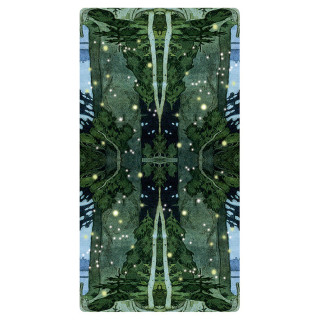 Tarot of the Magical Forest
