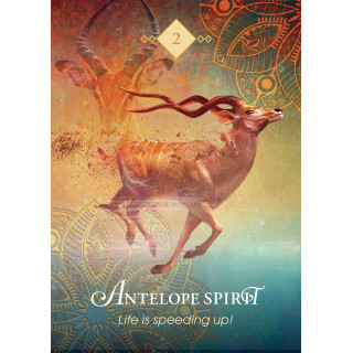 Spirit Animal Oracle (Mini)