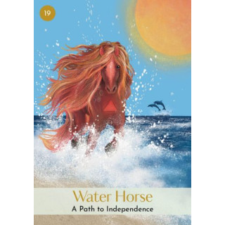 Chinese Five Elements Oracle