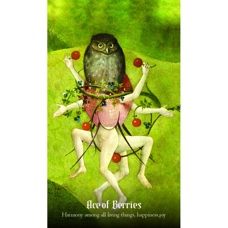 Hieronymus Bosch Tarot