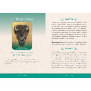 The Medicine Woman Oracle