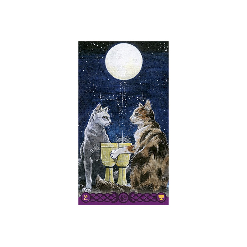 Tarot of the Pagan Cats