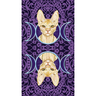 Tarot of the Pagan Cats