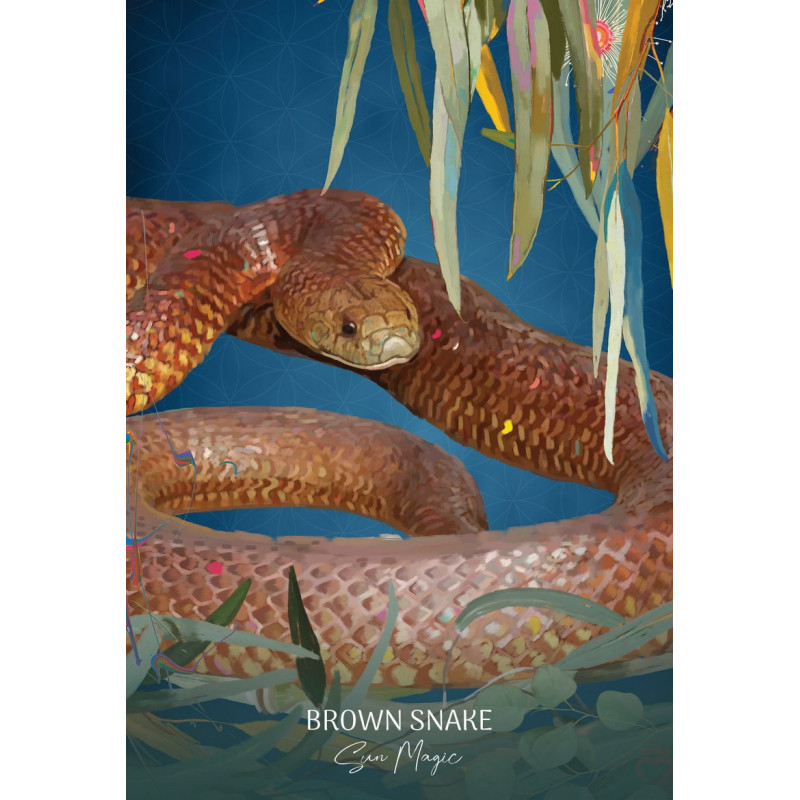 Wild Wisdom Australia Oracle