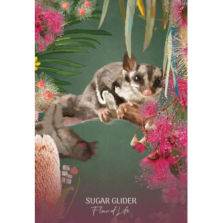 Wild Wisdom Australia Oracle