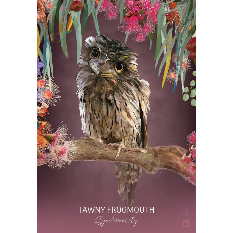 Wild Wisdom Australia Oracle