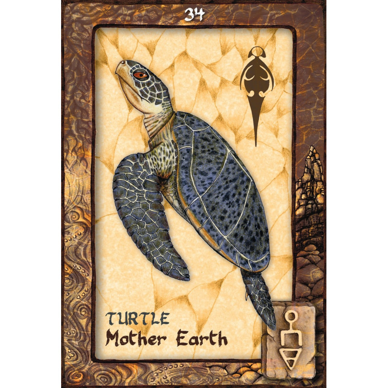 Animal Dreaming Oracle