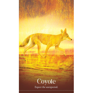 Wild Dreams Animal Oracle