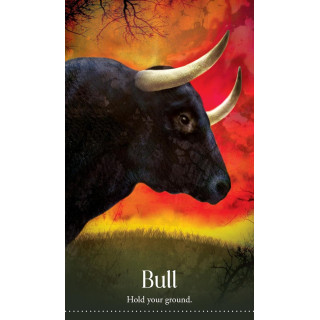 Wild Dreams Animal Oracle