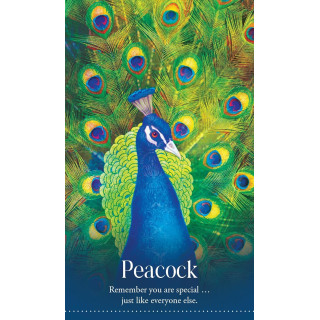 Wild Dreams Animal Oracle