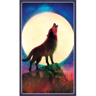 Wild Dreams Animal Oracle
