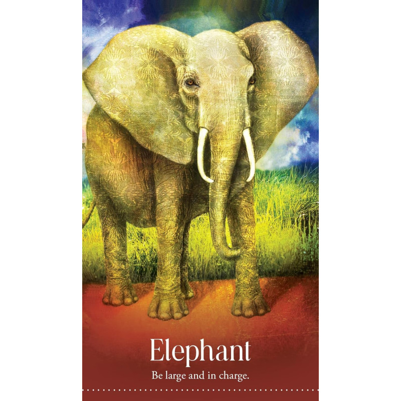 Wild Dreams Animal Oracle