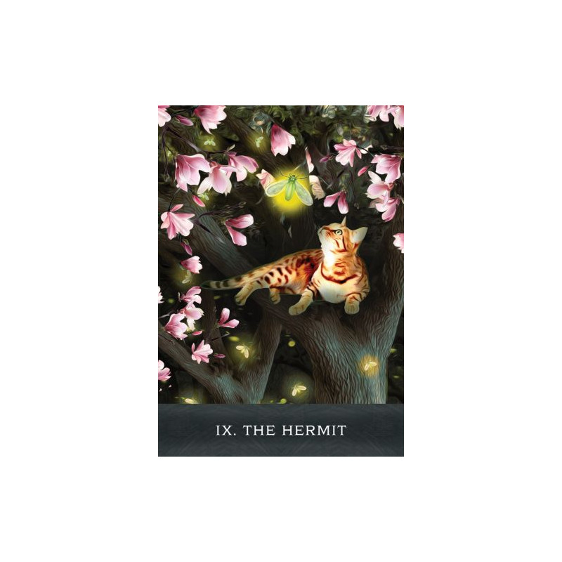 Grimalkin's Curious Cats Tarot