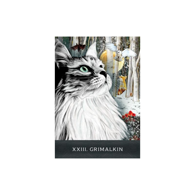Grimalkin's Curious Cats Tarot