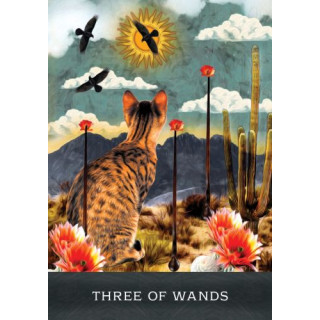 Grimalkin's Curious Cats Tarot
