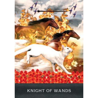 Grimalkin's Curious Cats Tarot