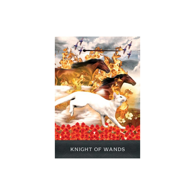 Grimalkin's Curious Cats Tarot