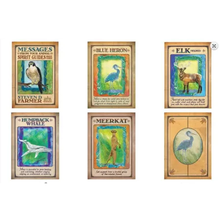 Messages From Your Animal Spirit Guides Oracle