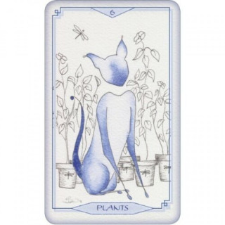 Bleu Cat Tarot