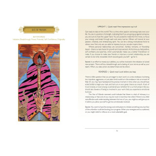 The Zerner Farber Tarot