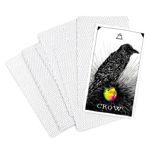 The Wild Unknown Animal Spirit Oracle