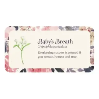 Flower Petals Inspiration Cards