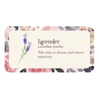 Flower Petals Inspiration Cards