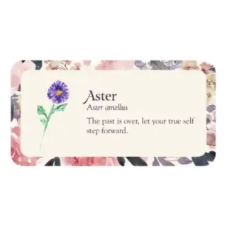 Flower Petals Inspiration Cards