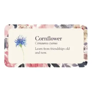 Flower Petals Inspiration Cards