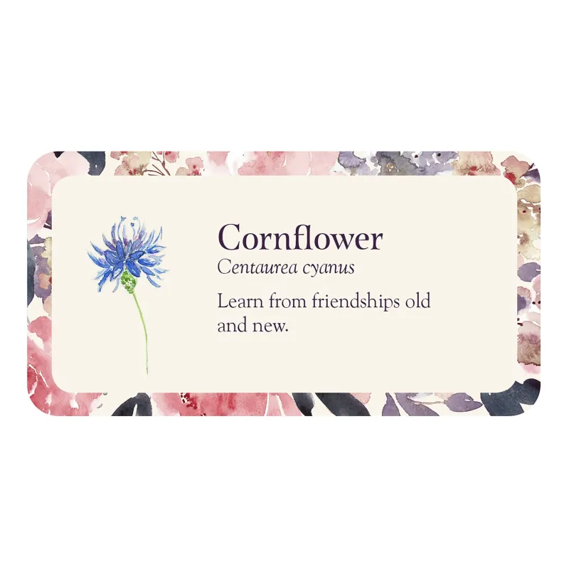 Flower Petals Inspiration Cards