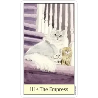 Cat's Eye Tarot