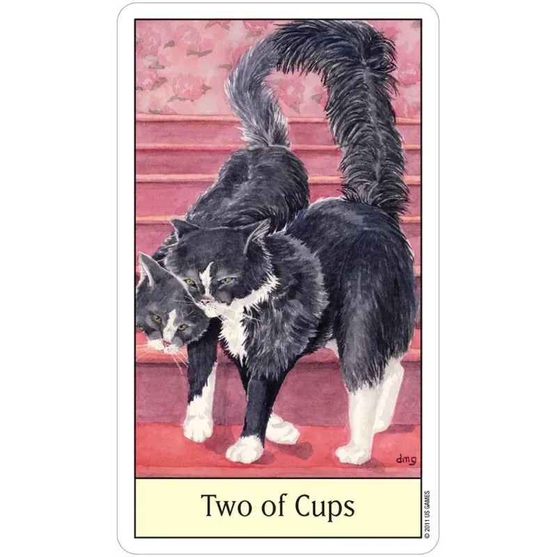 Cat's Eye Tarot