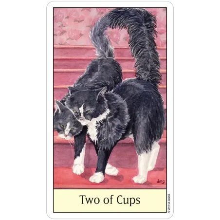 Cat's Eye Tarot