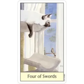 Cat's Eye Tarot