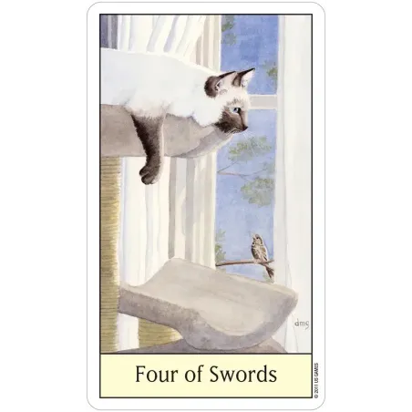 Cat's Eye Tarot