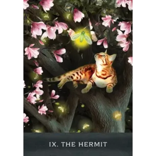 Grimalkin's Curious Cats Tarot