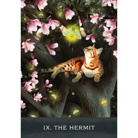 Grimalkin's Curious Cats Tarot