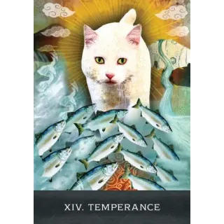 Grimalkin's Curious Cats Tarot