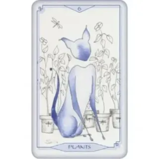 Bleu Cat Tarot