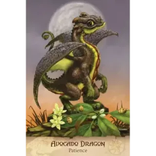 Field Guide To Garden Dragons