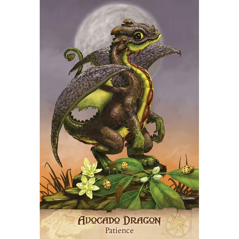 Field Guide To Garden Dragons