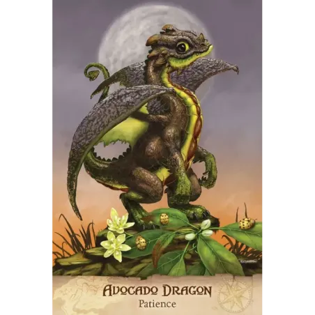 Field Guide To Garden Dragons