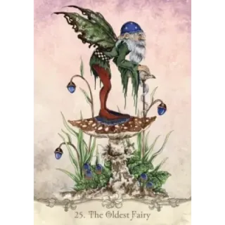 Fairy Wisdom Oracle