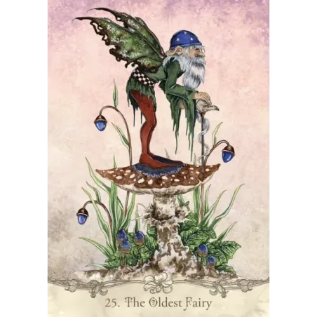 Fairy Wisdom Oracle