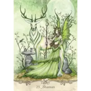 Fairy Wisdom Oracle